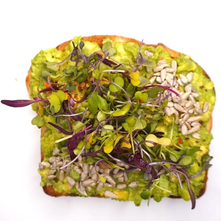 Explore our vegan food offerings